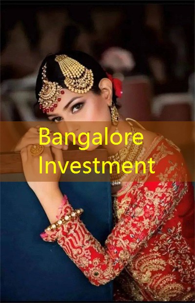 Kanpur Investment：A cross-country investigation of micro-angel investment activity： The roles of new business opportunities and institutions